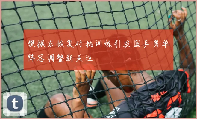 樊振东恢复对抗训练引发国乒男单阵容调整新关注